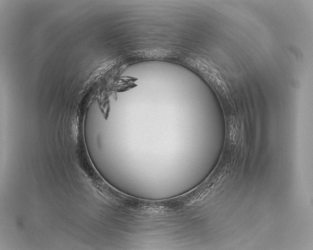 X0000115740206200912031434