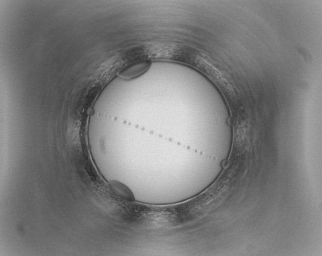 X0000115740209200912031434