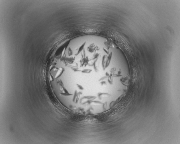 X0000115740210200912031434