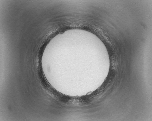 X0000115740211200912031434