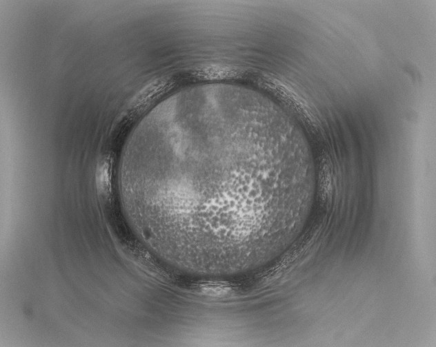 X0000115740214200912031434