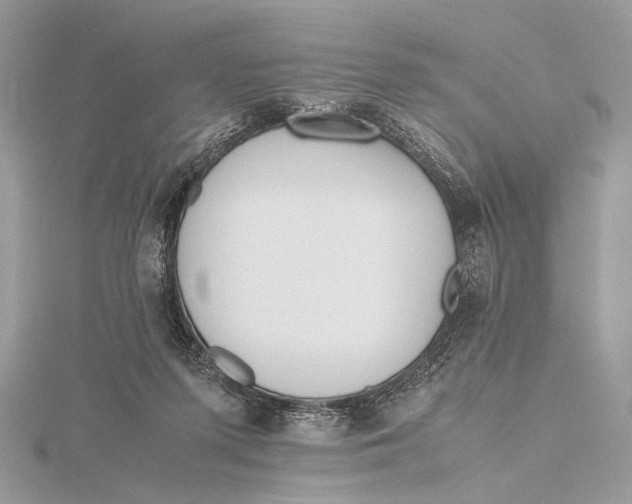 X0000115740215200912031434