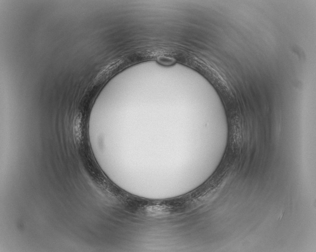 X0000115740216200912031434