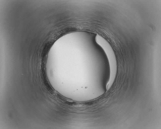 X0000115740221200912031434