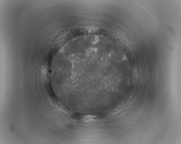 X0000115740222200912031434