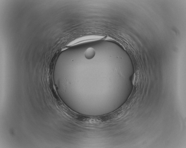 X0000115740223200912031434