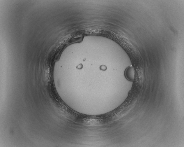 X0000115740224200912031434