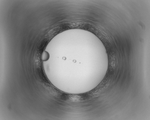 X0000115740226200912031434