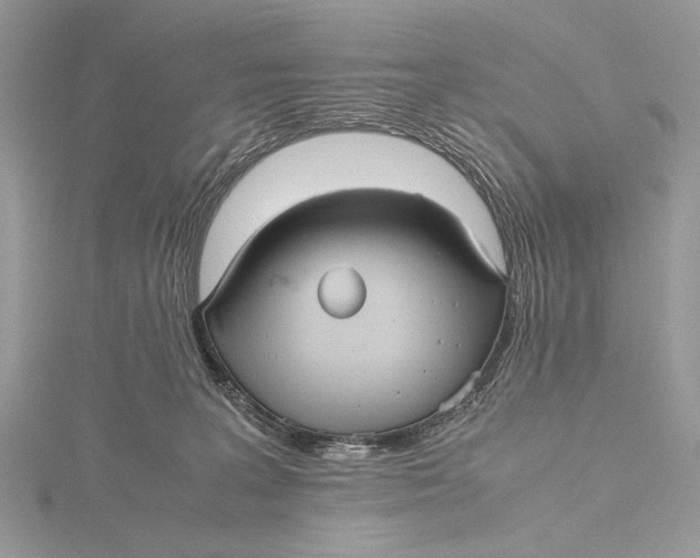 X0000115740227200912031434