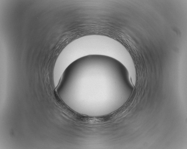 X0000115740229200912031434