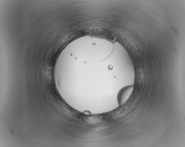 X0000115740232200912031434