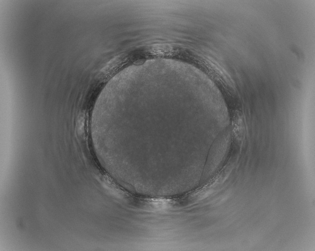 X0000115740233200912031434