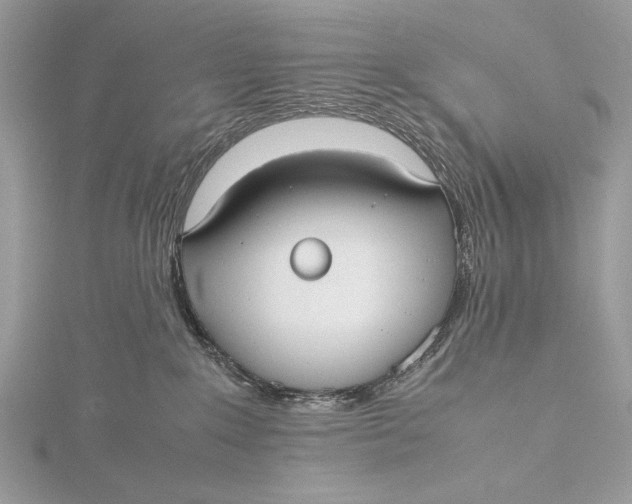 X0000115740235200912031434