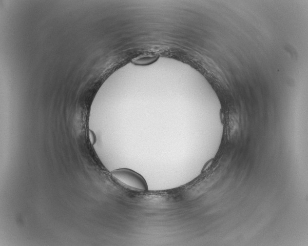 X0000115740236200912031434