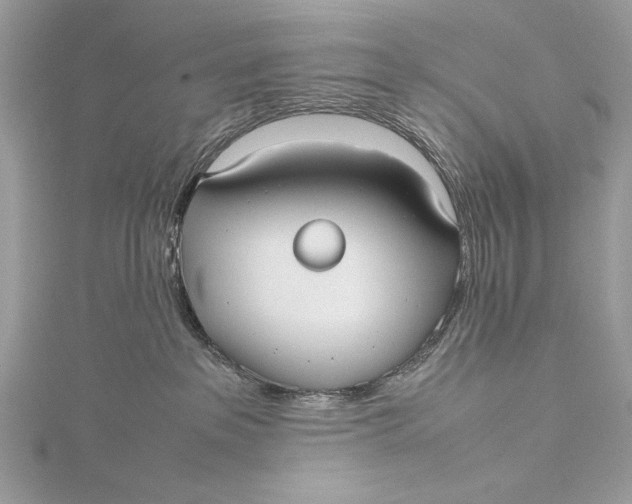 X0000115740237200912031434