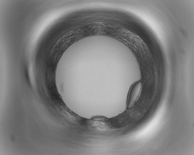 X0000115740239200912031434