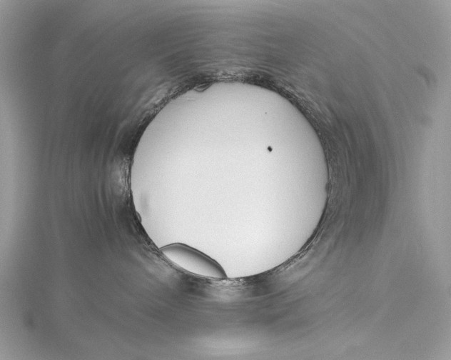 X0000115740240200912031434