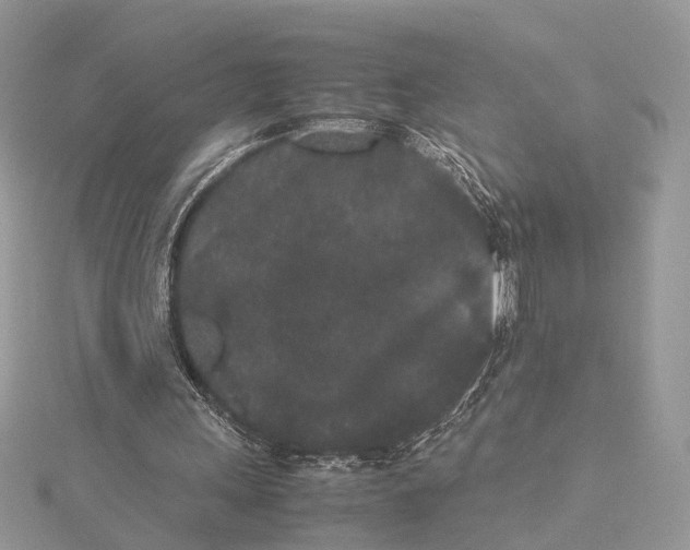 X0000115740243200912031433