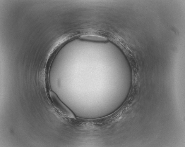 X0000115740244200912031433