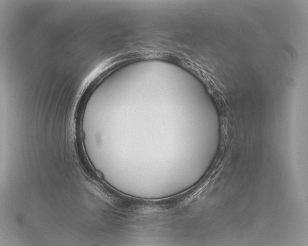 X0000115740246200912031433