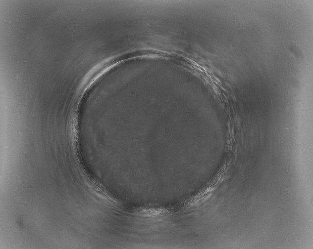 X0000115740247200912031433