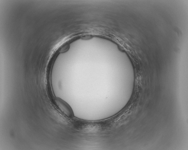 X0000115740248200912031433