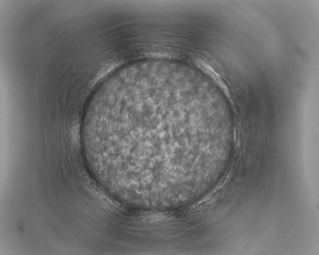 X0000115740249200912031433