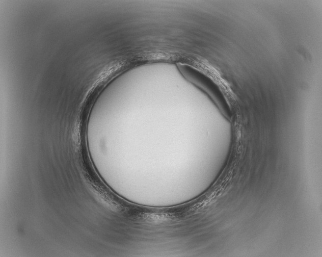 X0000115740250200912031433