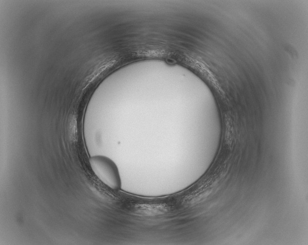 X0000115740251200912031433