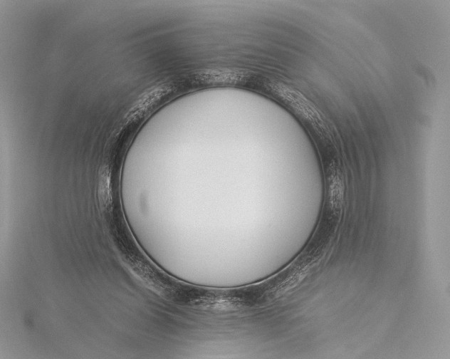 X0000115740254200912031433