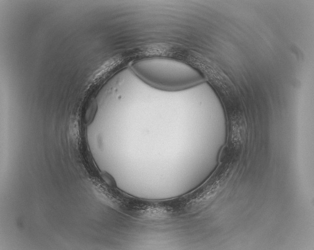 X0000115740256200912031433