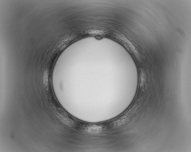 X0000115740257200912031433