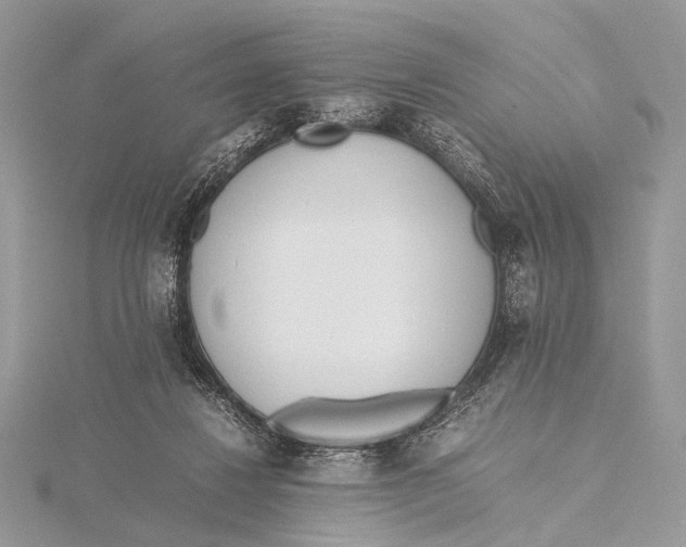 X0000115740260200912031433