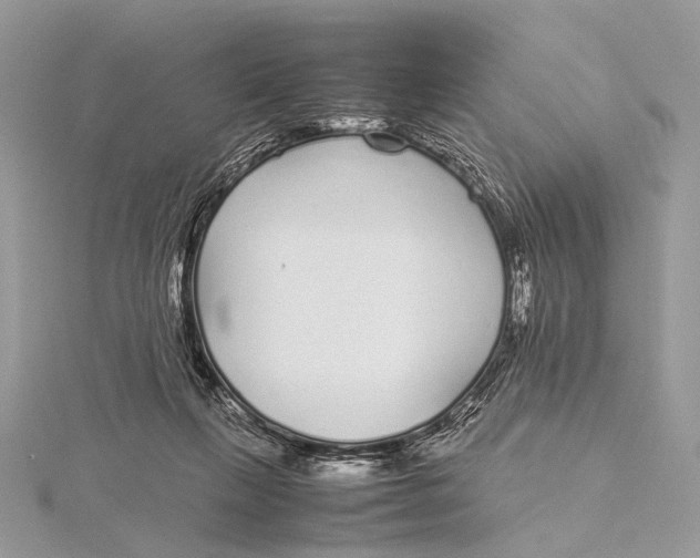 X0000115740263200912031433