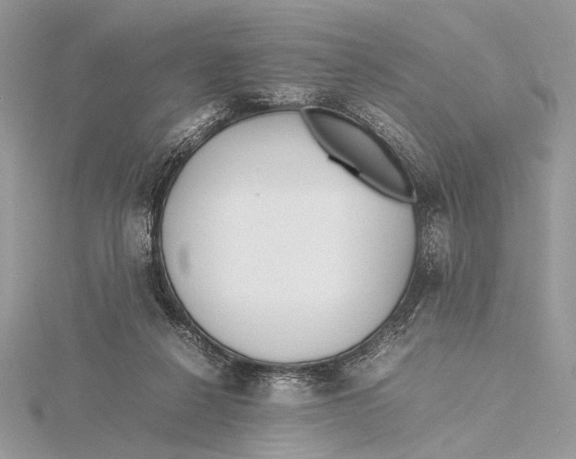 X0000115740264200912031433