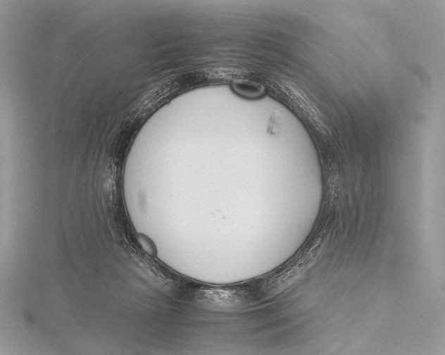 X0000115740265200912031433