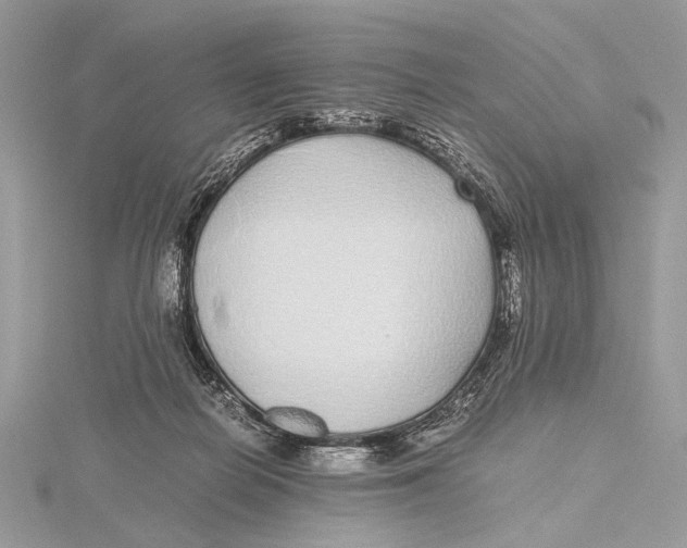 X0000115740266200912031433