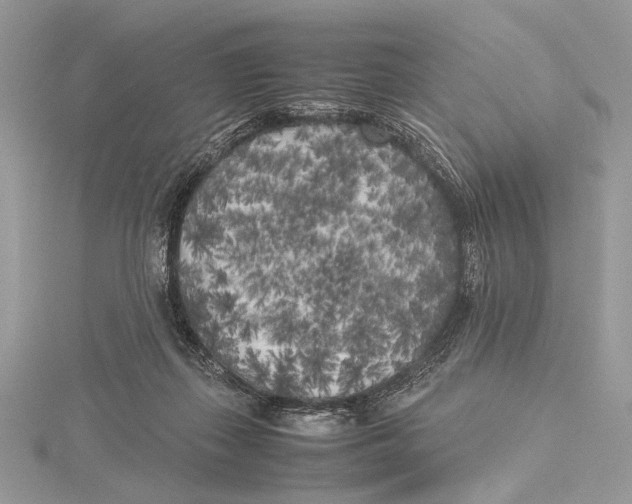 X0000115740267200912031433