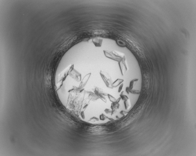 X0000115740269200912031433