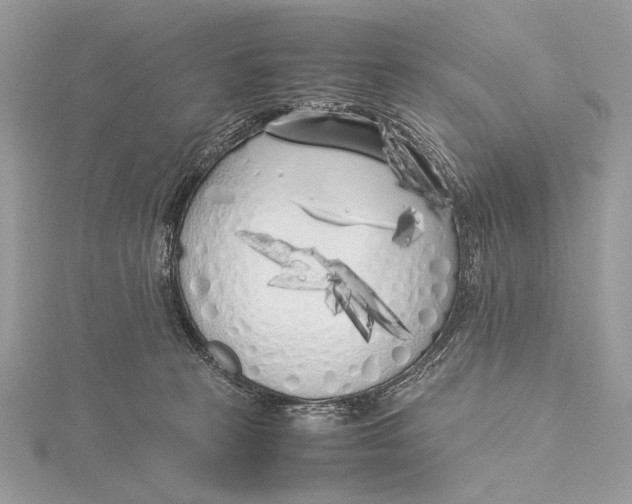 X0000115740273200912031433