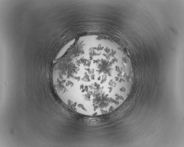 X0000115740277200912031433