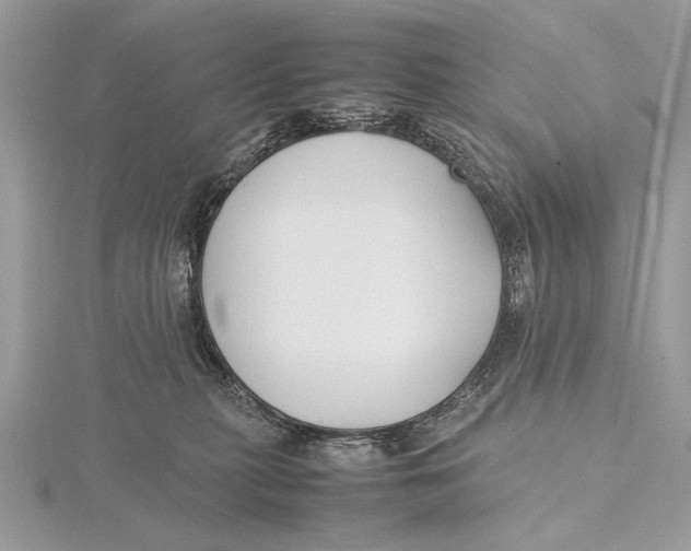 X0000115740279200912031433