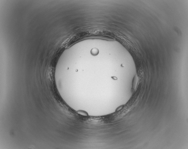 X0000115740280200912031433