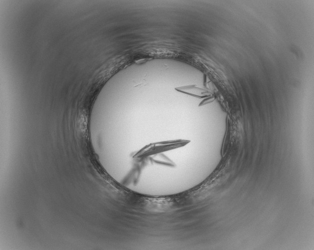 X0000115740281200912031433