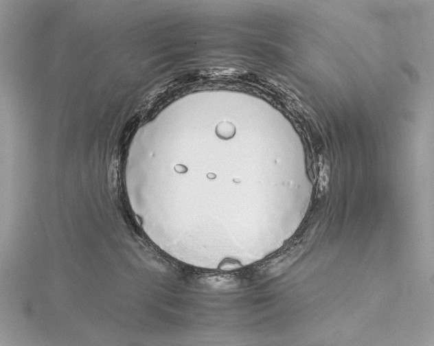 X0000115740283200912031433