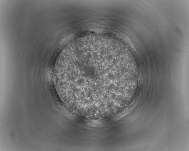 X0000115740285200912031433