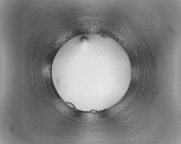 X0000115740286200912031433