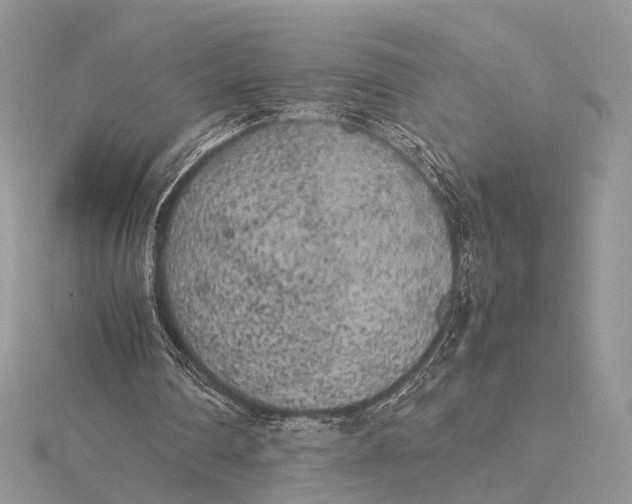 X0000115740290200912031433