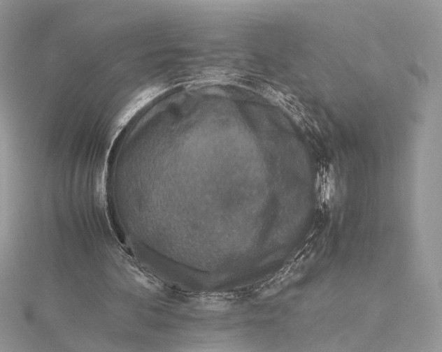 X0000115740292200912031433