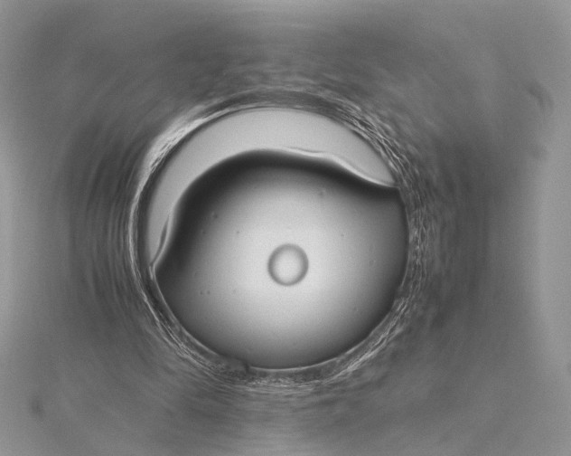 X0000115740294200912031433